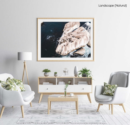 Aerial of seals lying on a big rock at Oudekraal Cape Town in a natural fine art frame