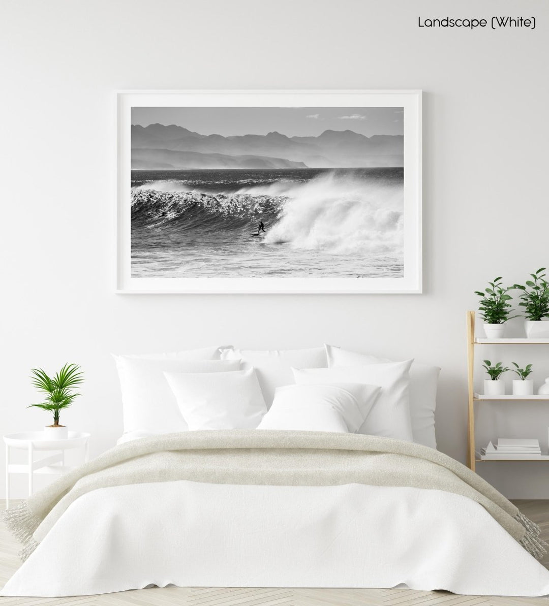 Black and white image of surfing at Lookout Beach