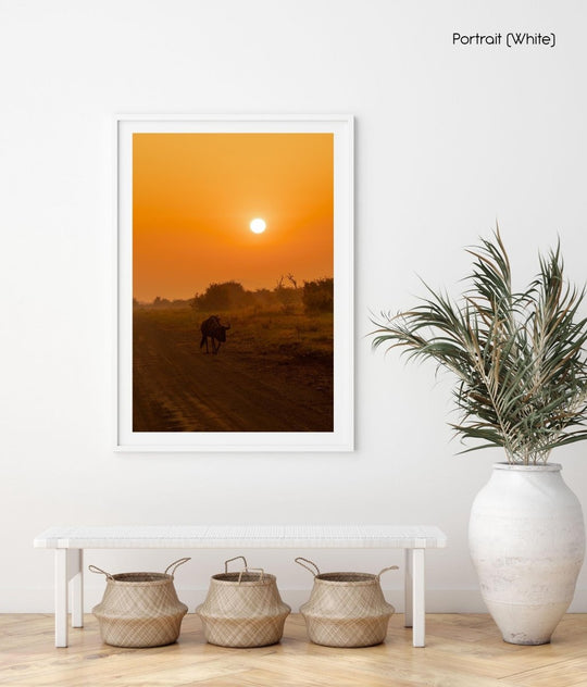 Wildebeest walking along dirt road at sunrise