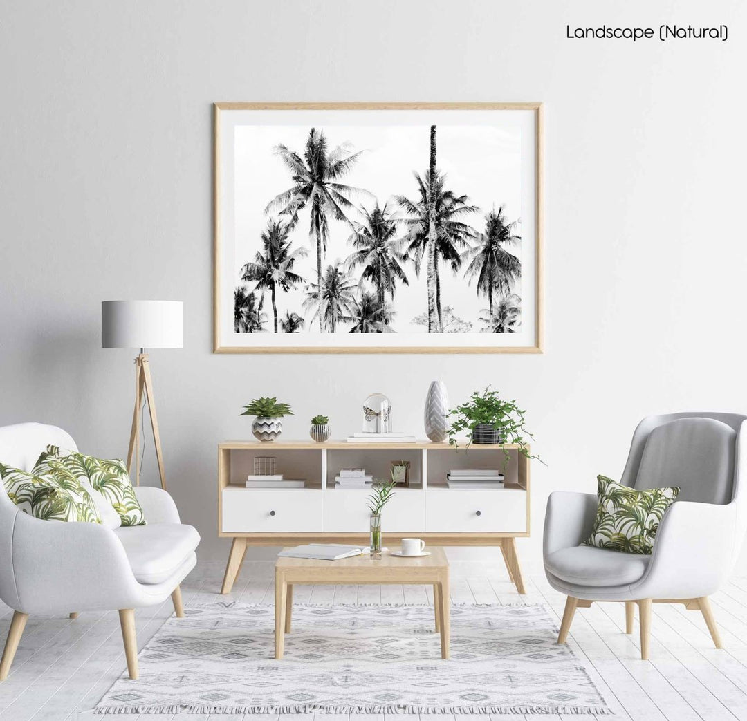 Palm trees in Bali, Indonesia