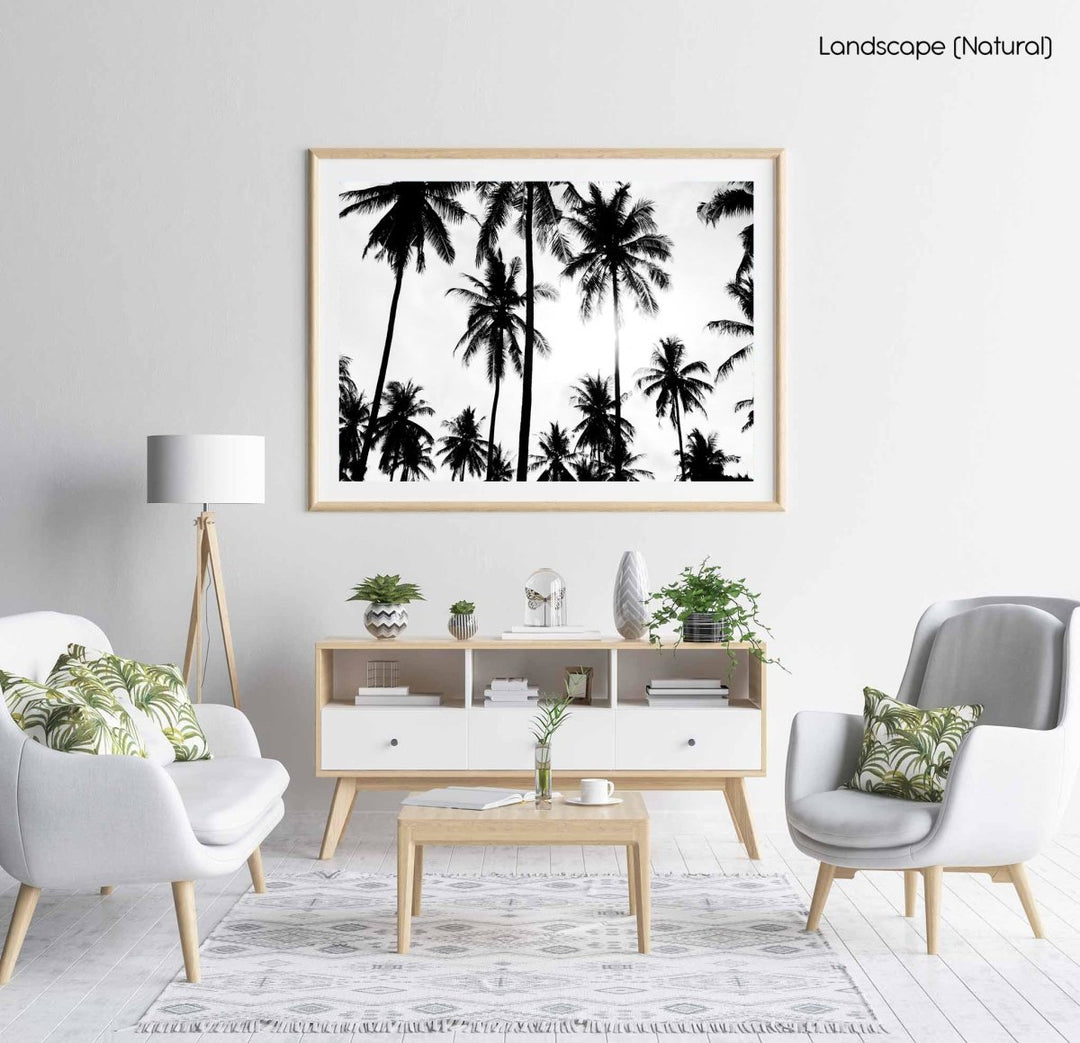 Palm trees in Bali, Indonesia