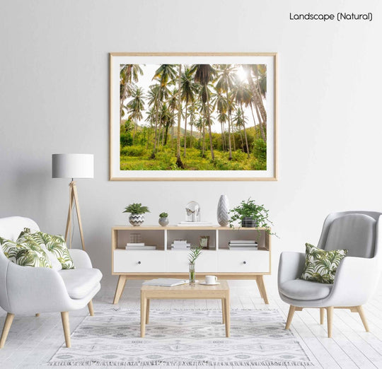 Palm trees in Bali, Indonesia