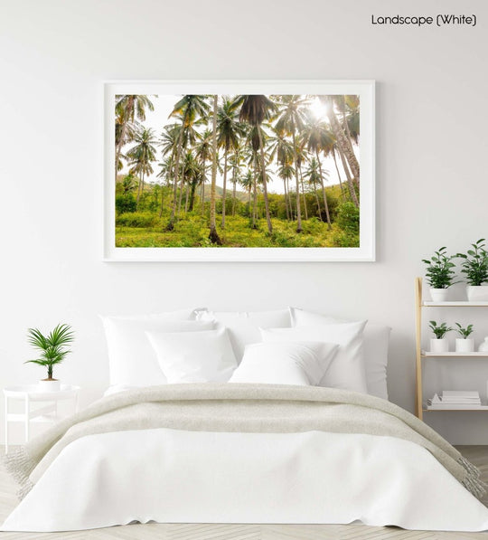 Palm trees in Bali, Indonesia