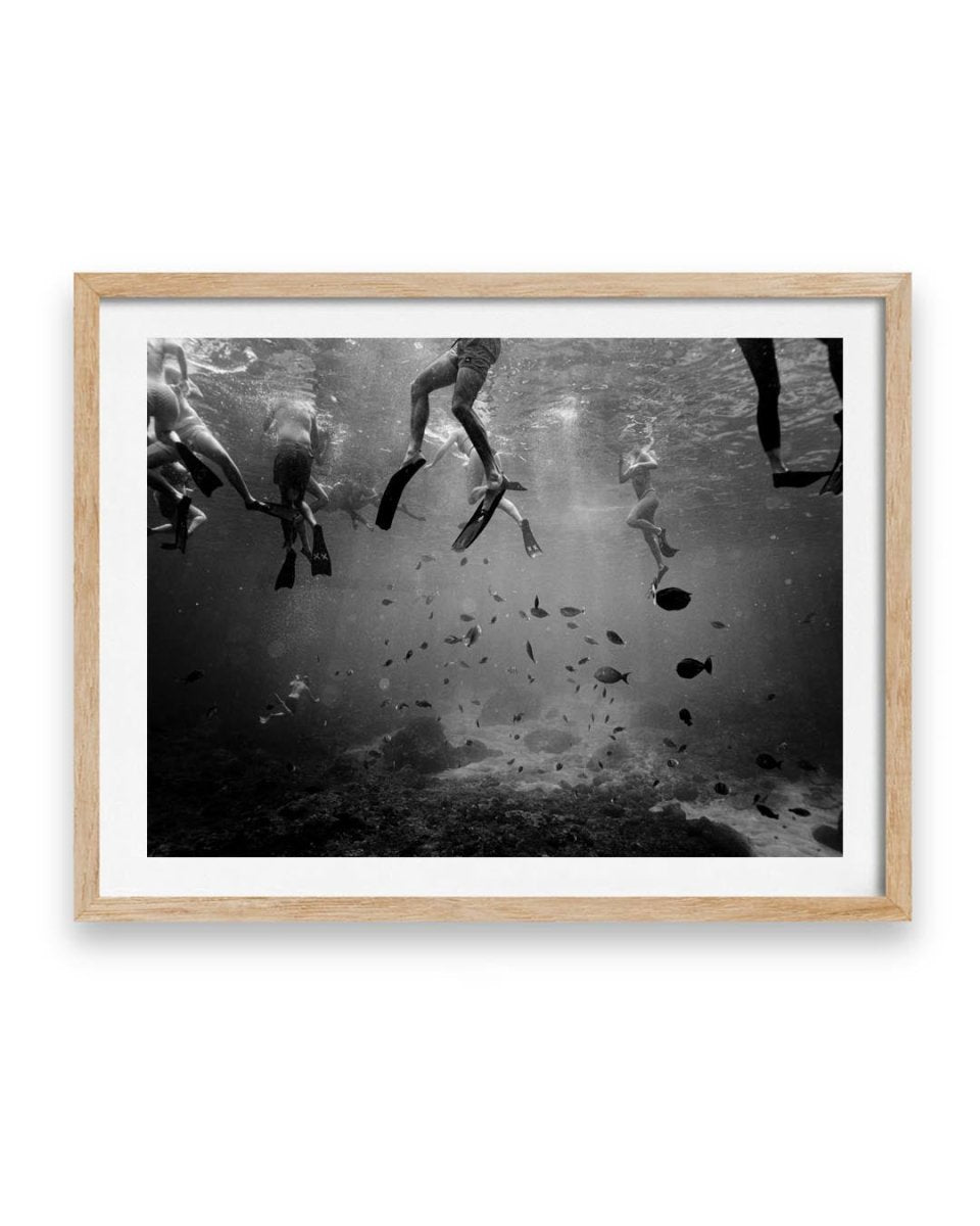Fish are Friends (1 of 5)