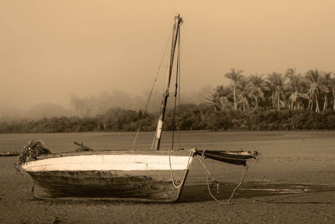 Dhow boat on sand with palm trees in Bazaruto Archipelago, Mozambique