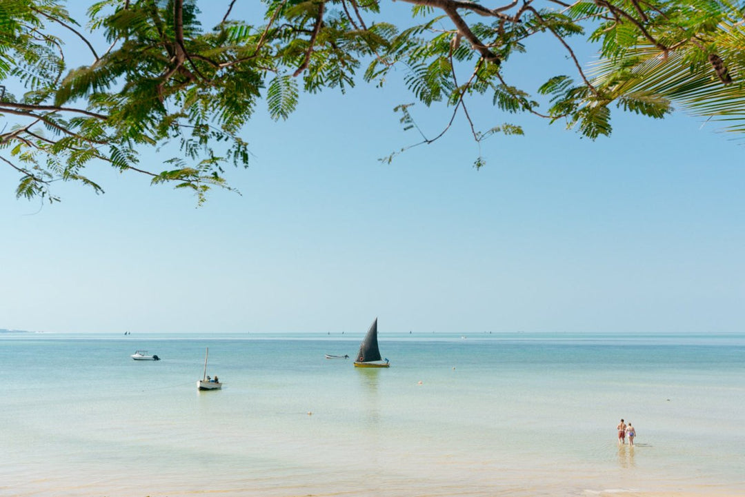 Beach photography of dhow boats, holiday makers and plants in Bazaruto Archipelago, Mozambique