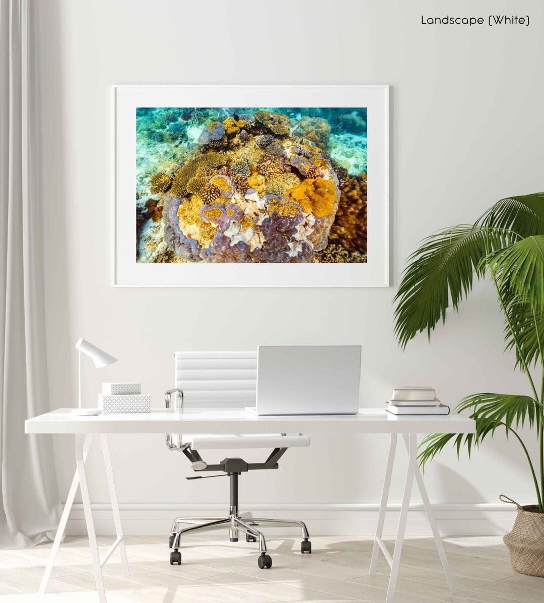 Framed Artwork with a white frame  in an office space