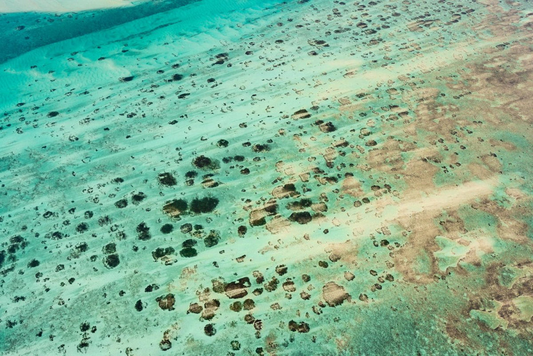 Abstract image taken from aerial view of blue ocean and reefs in Bazaruto Archipelago, Mozambique