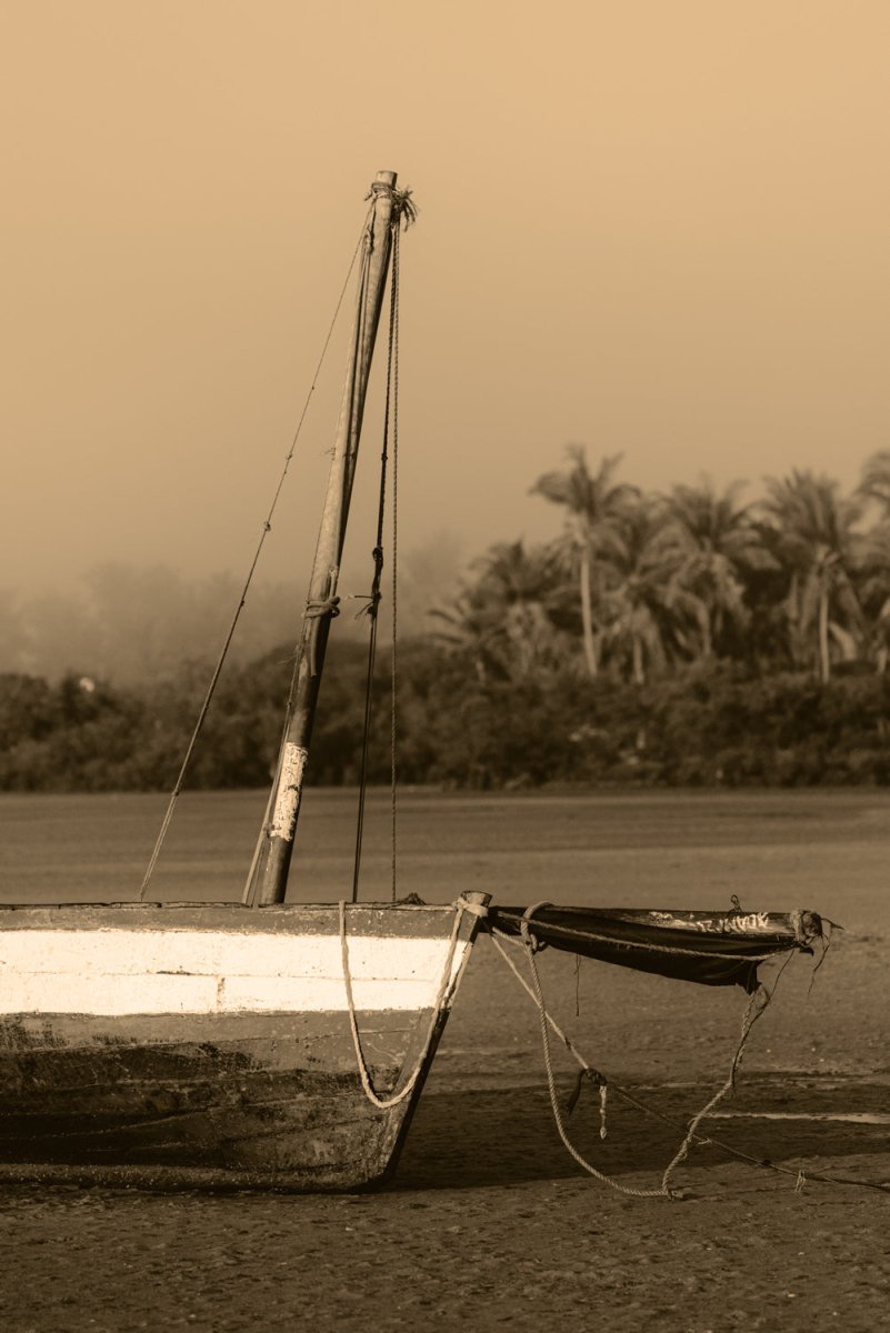 Wooden dhow boat beached on sand with palm trees in the background in Bazaruto Archipelago, Vilankulos, Mozambique