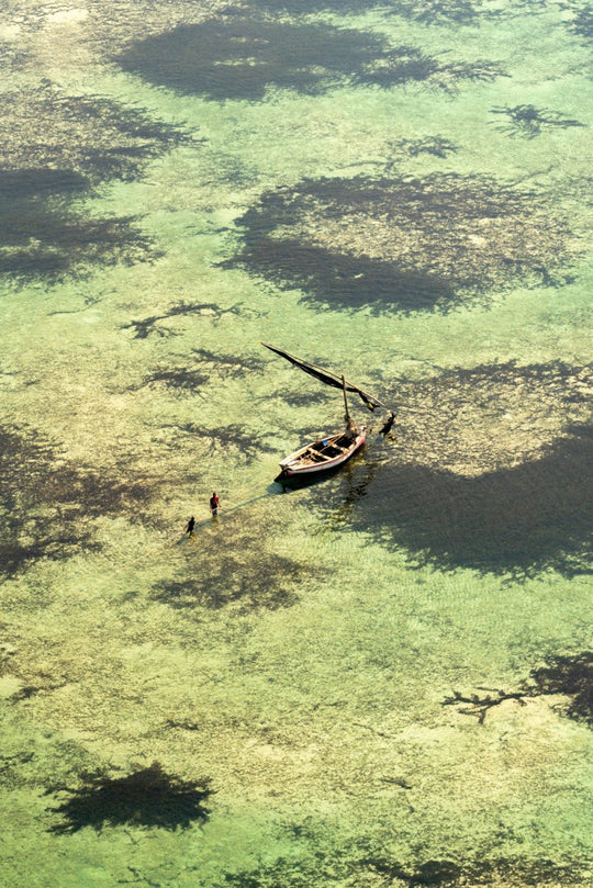 Aerial image of local fishermen using dhows and nets to catch fish in Bazaruto Archipelago, Vilankulos, Mozambique