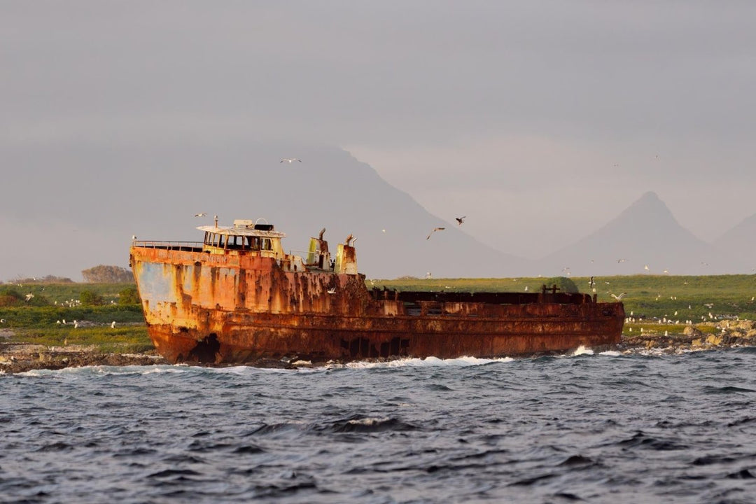 Image of the Sea Challenger shipwreck on Robben Island in Cape Town, South Africa.