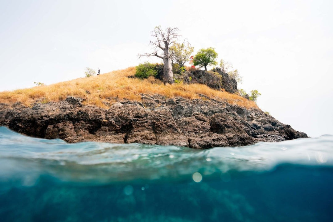 A golden lit hill with a lighthouse and baobab tree taken while snorkeling at Lagoa Azul.