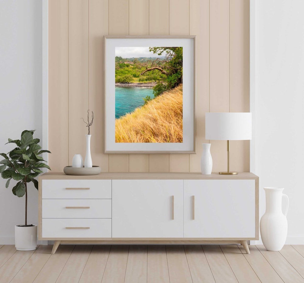 Framed Artwork with a natural frame in a living room