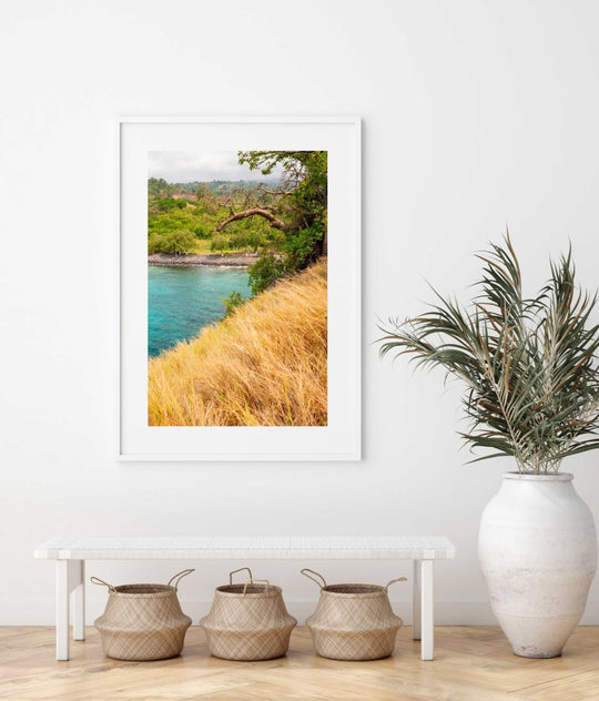 Framed Artwork with a white frame in an office space