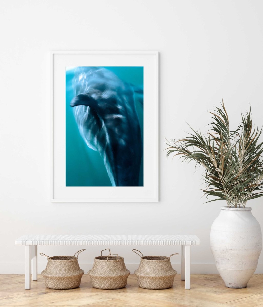 Framed Artwork with a white frame in an office space