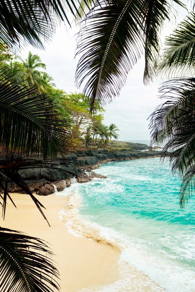 Palm tree leaves making way for a window view of praia batteria on Rolas Island