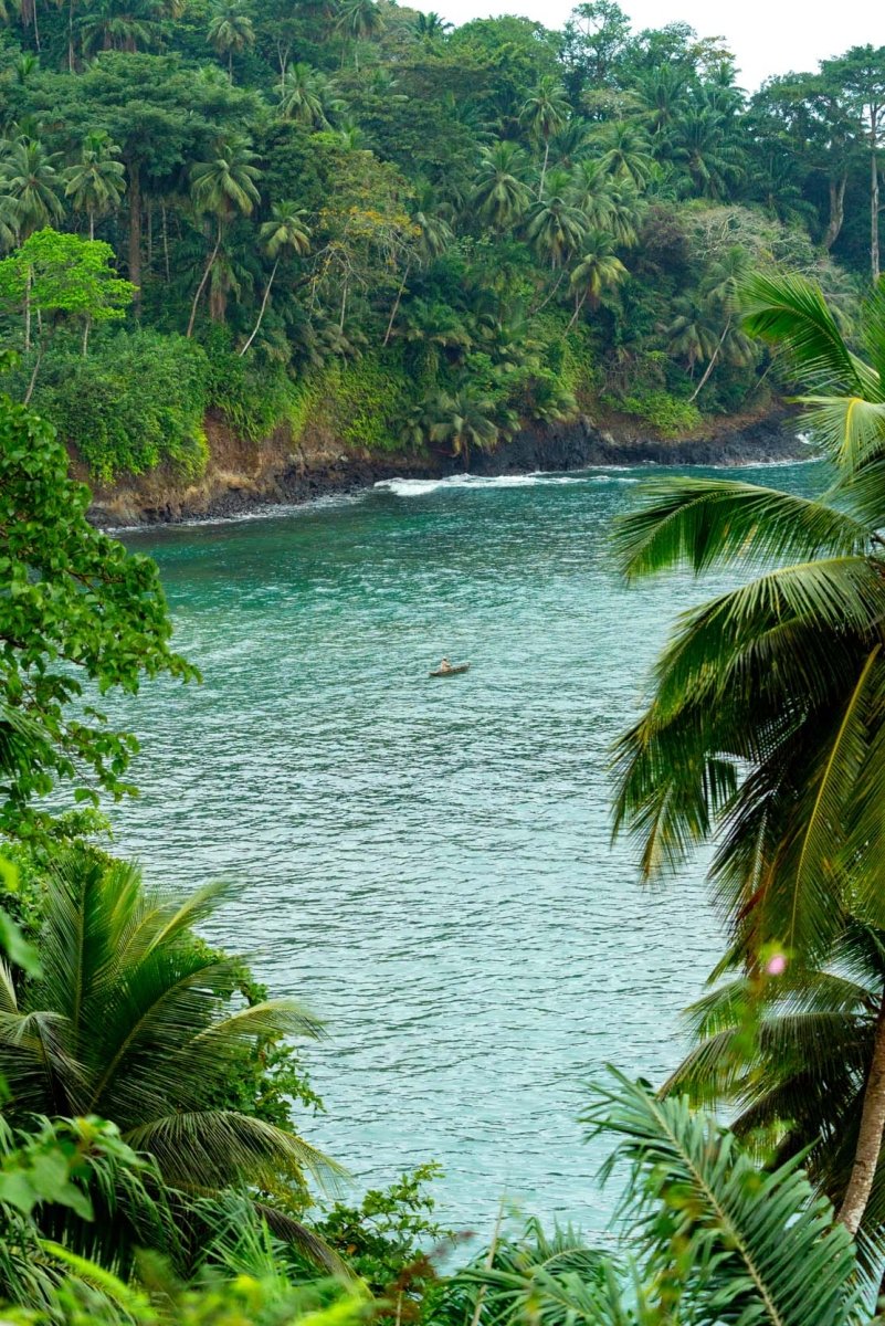 Lush palm trees and other vegetation surrounding a tropical cove with a man on a canoe in the south of Sao Tome island
