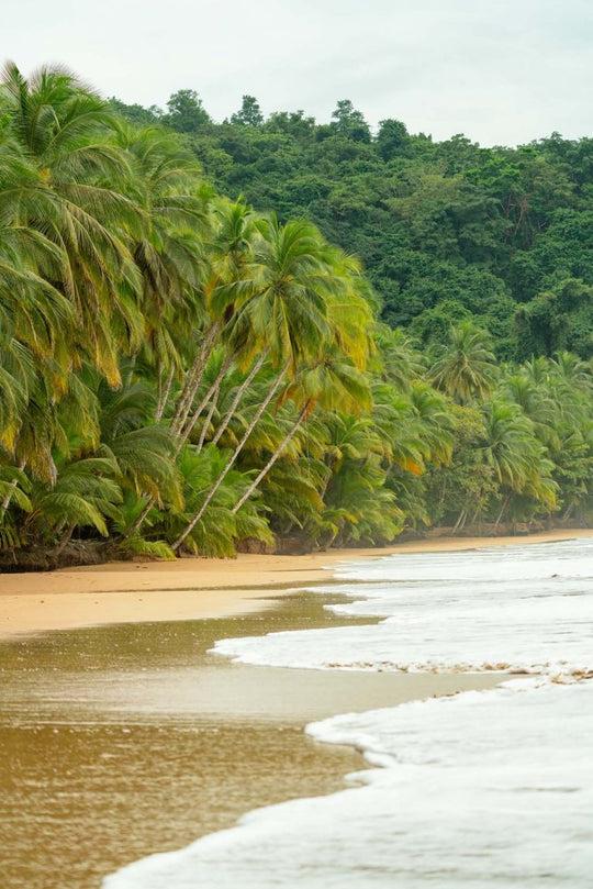 Empty and pristine beach along the Bom Bom resort on principe island