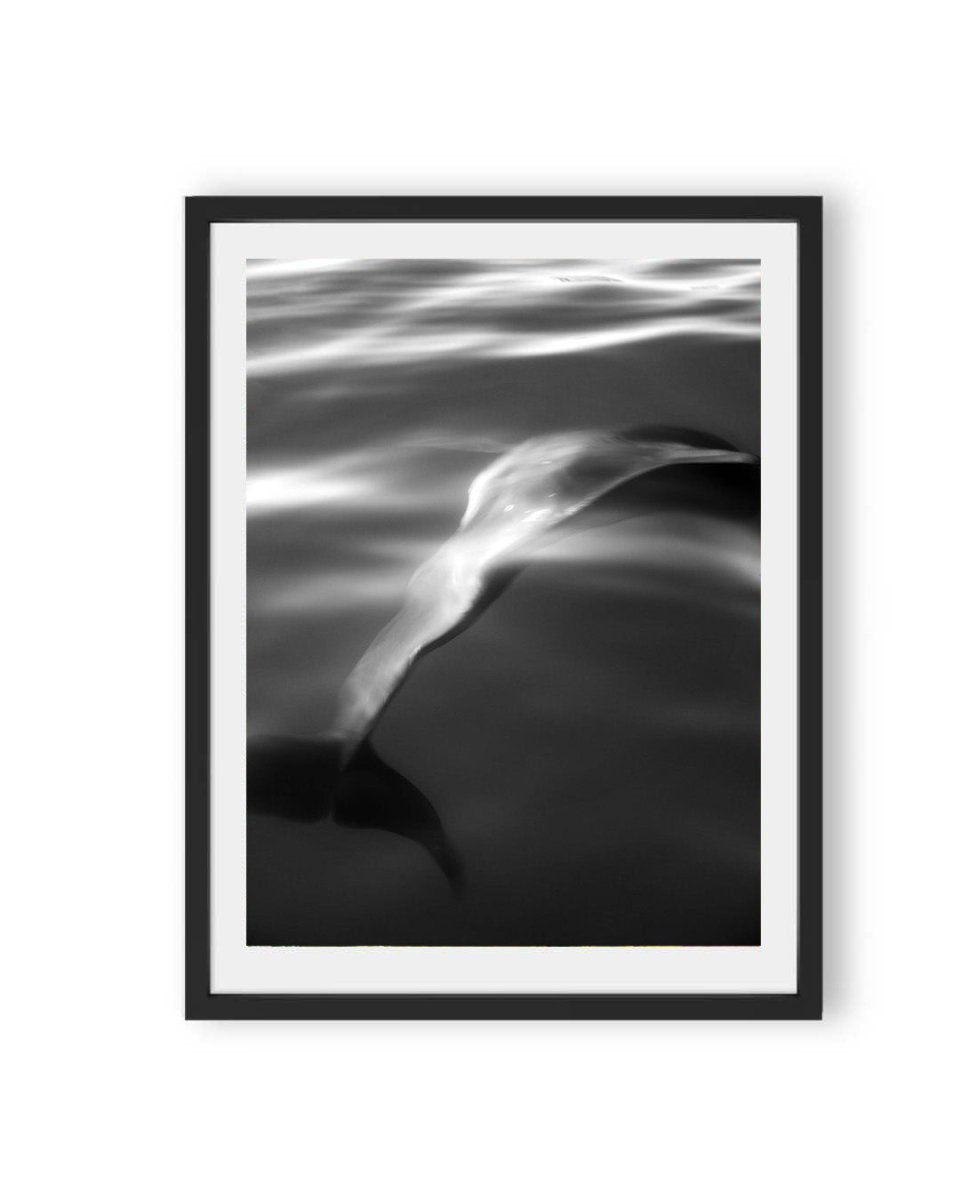 Chromaflow (1 of 10)