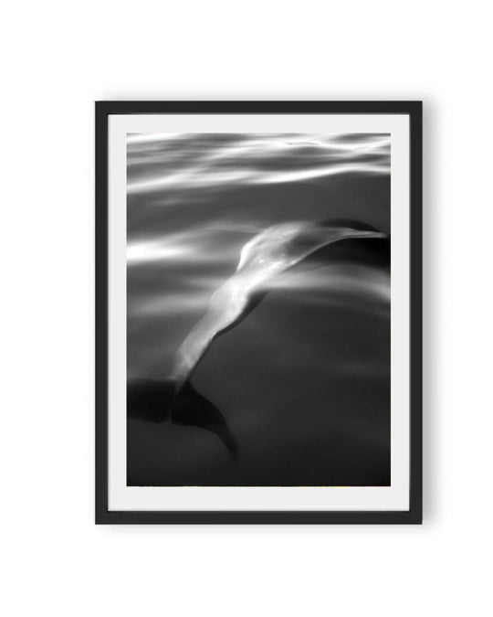 Chromaflow (1 of 10)