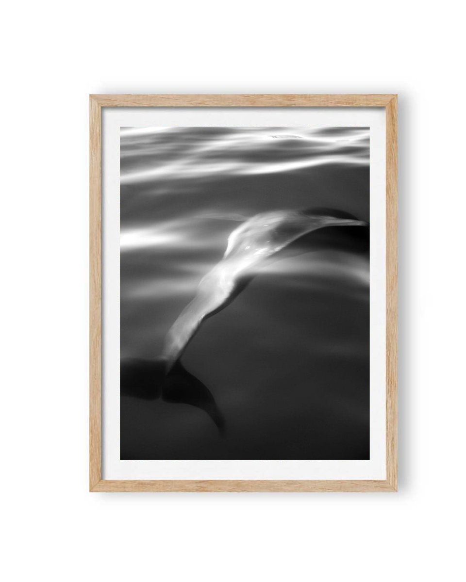 Chromaflow (1 of 10)
