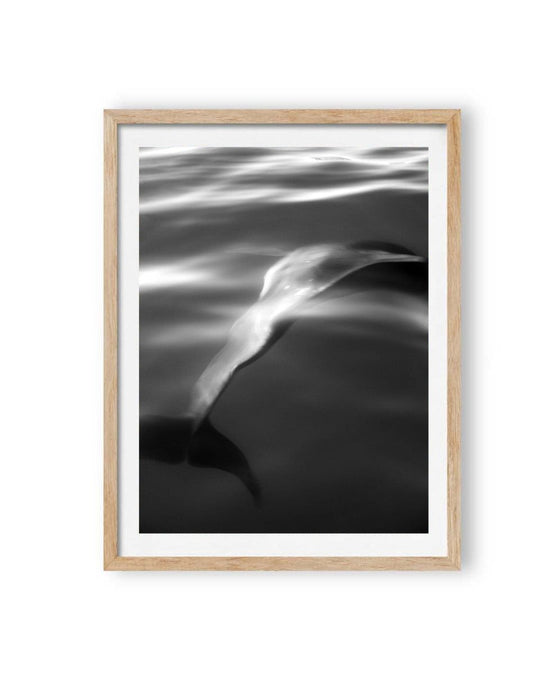 Chromaflow (1 of 10)