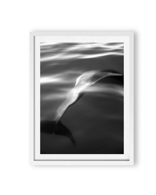 Chromaflow (1 of 10)