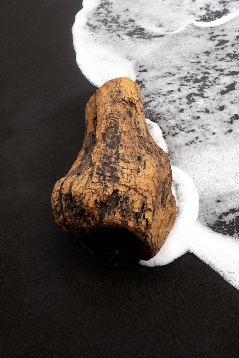 Black sand beach a piece of driftwood in Sao Tome and Principe.
