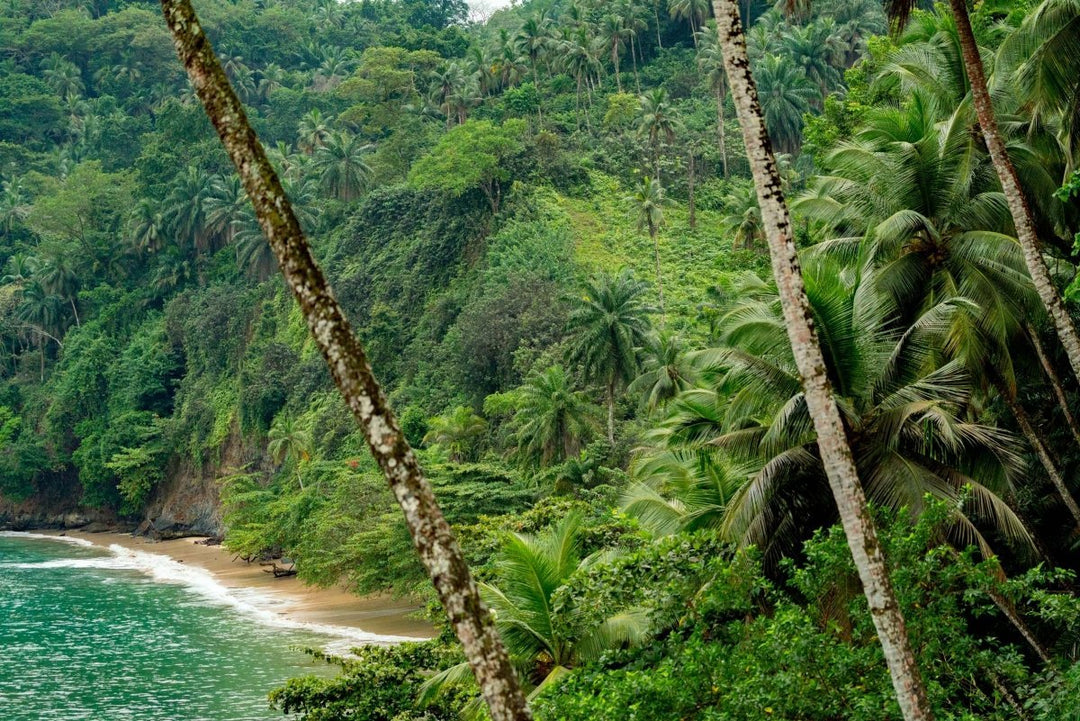 Hidden Paradise (1 of 10)