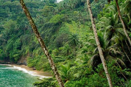 Hidden Paradise (1 of 10)