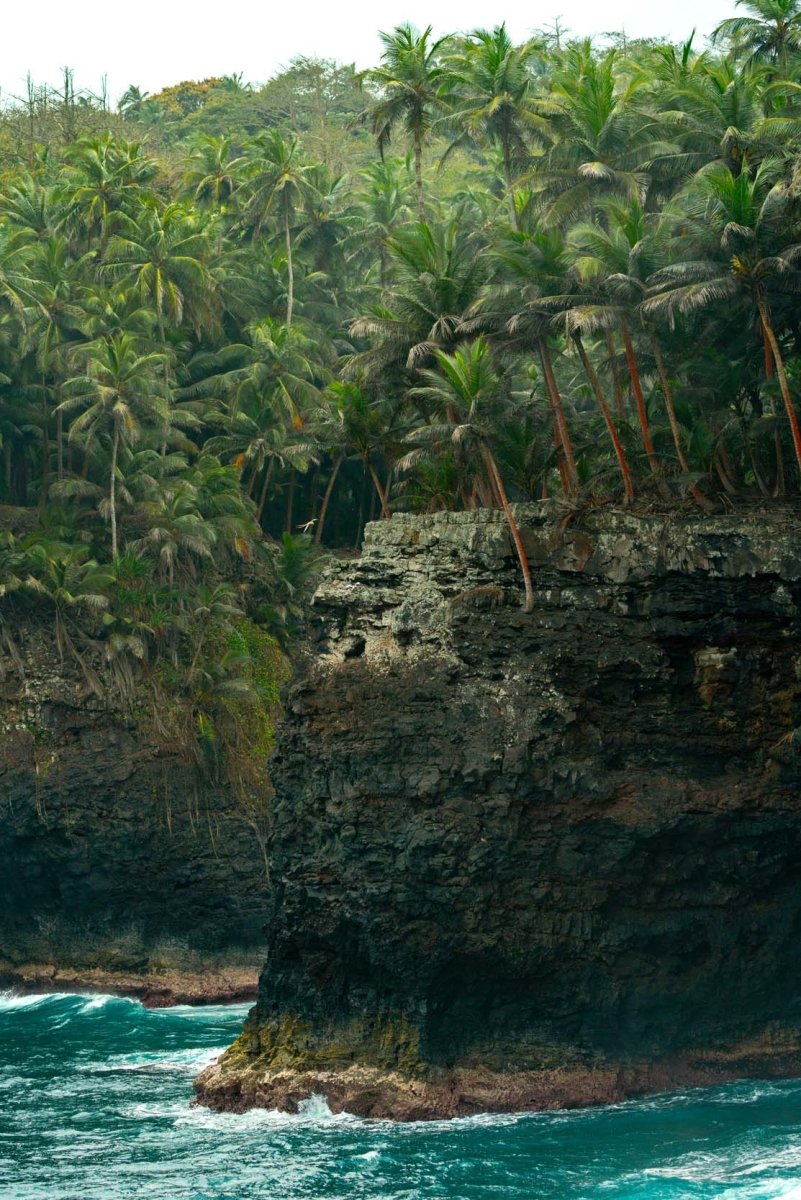 Tropicbirds flying around cliffs of Rolas Island in Sao Tome and Principe.