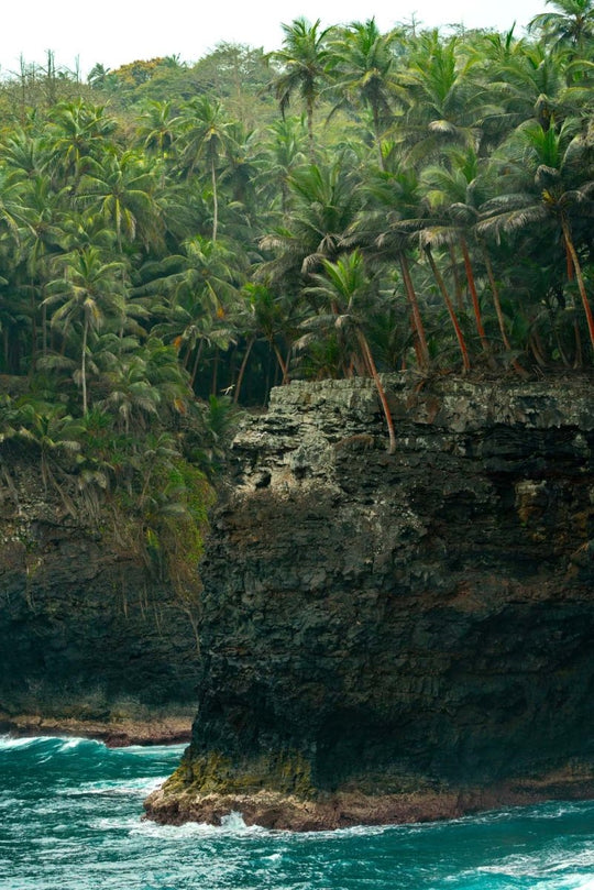 Tropicbirds flying around cliffs of Rolas Island in Sao Tome and Principe.