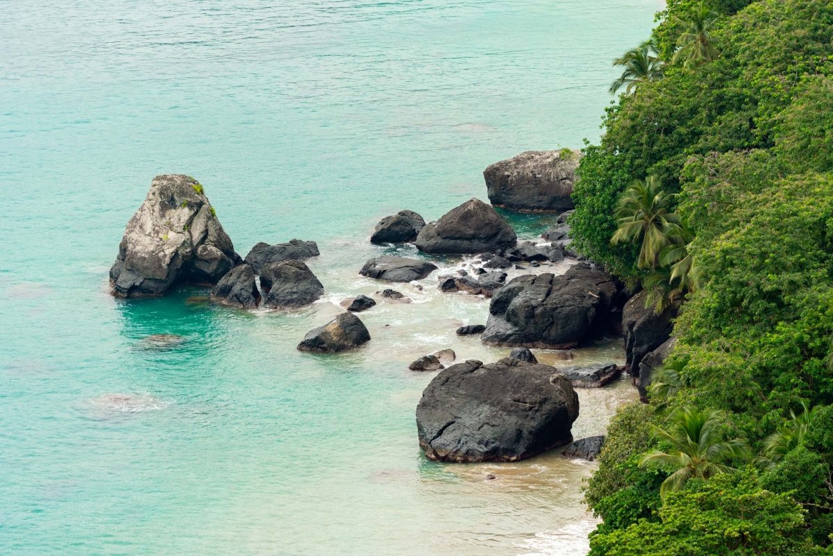 Aerial image of volcanic rocks meeting the lush palm forest on Principe Island.
