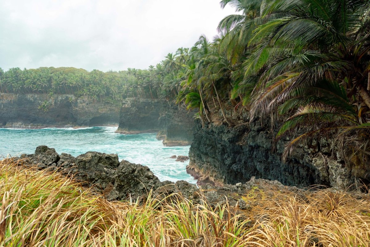 Hiking around Rolas island and exploring the cliffs and palm trees.