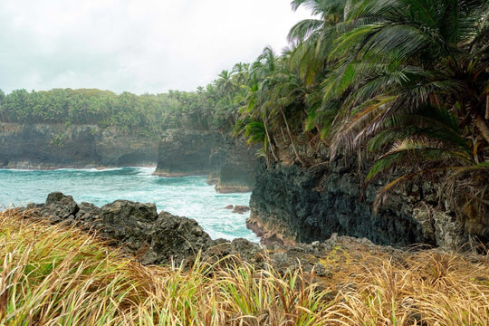 Hiking around Rolas island and exploring the cliffs and palm trees.