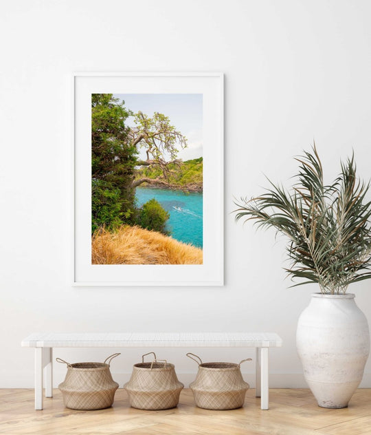 Framed Artwork with a white frame in an office space