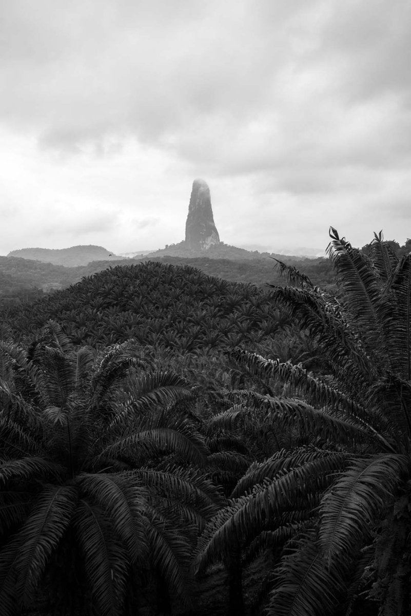 Roadtrip to the Pico Cao Grande mountain viewpoint in Sao Tome and Principe.