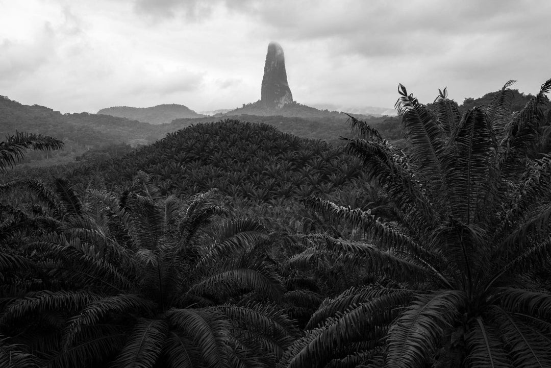 Viewpoint of Pico Cão Grande and its palm tree forest while driving towards the south of Sao Tome Island.
