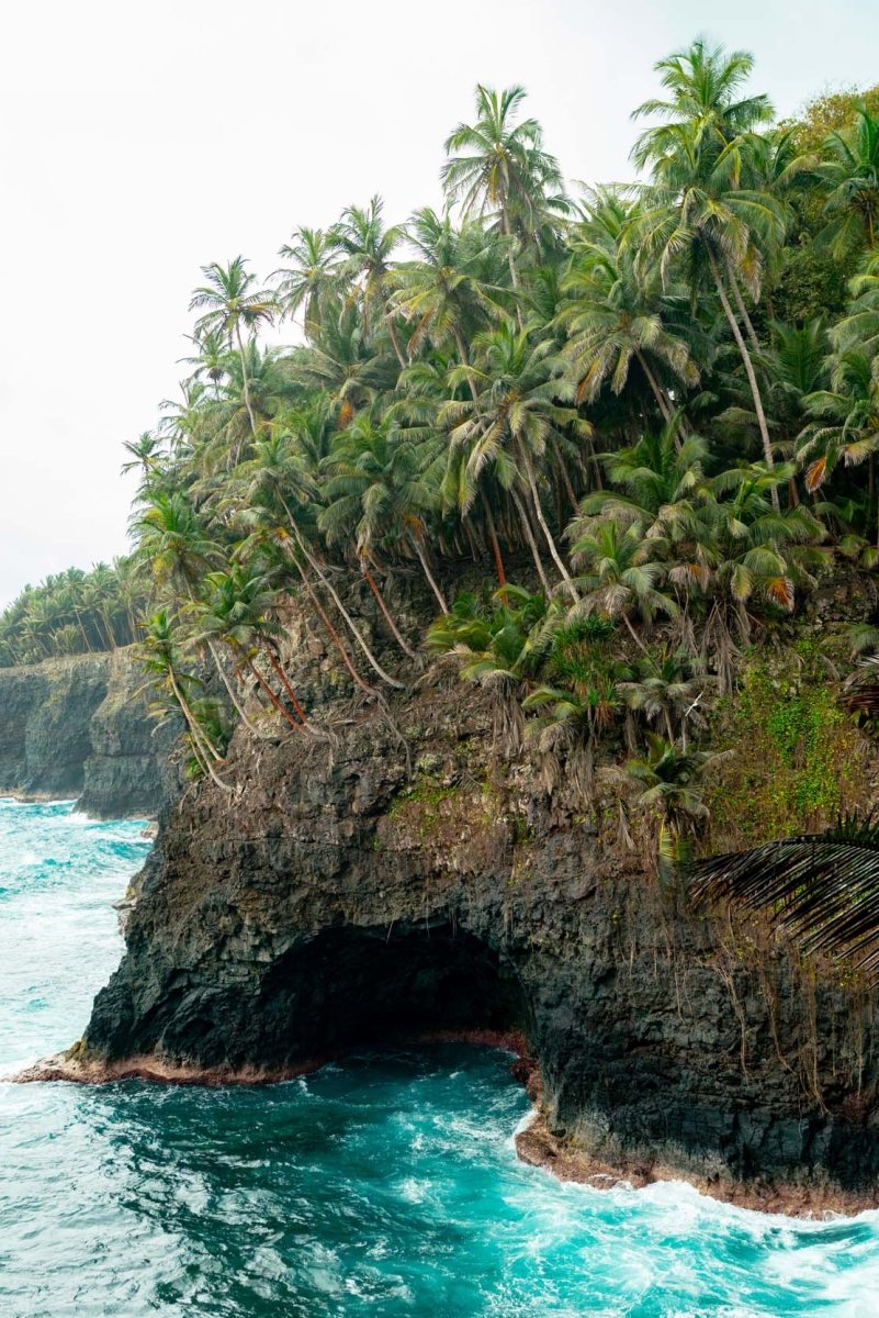 Palm trees and tropicbirds surrounding cliffs of Rolas Island in Sao Tome and Principe.