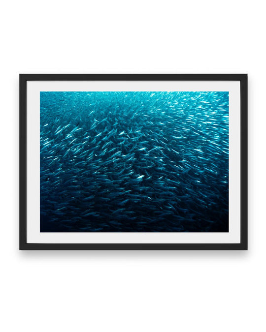 Silver Sea (1 of 5)