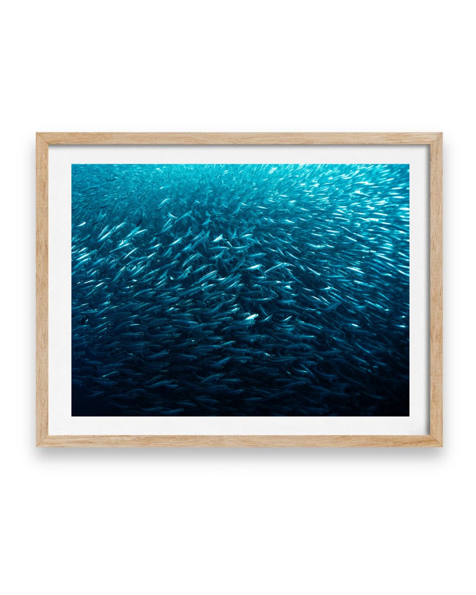 Silver Sea (1 of 5)