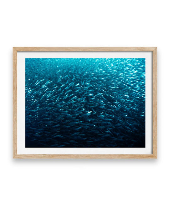 Silver Sea (1 of 5)