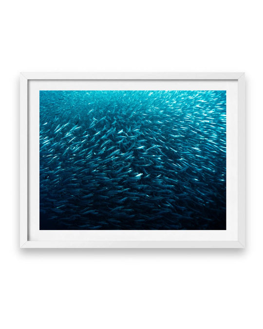 Silver Sea (1 of 5)