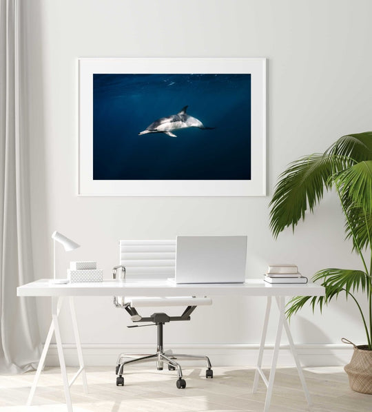 Framed Artwork with a white frame in an office space