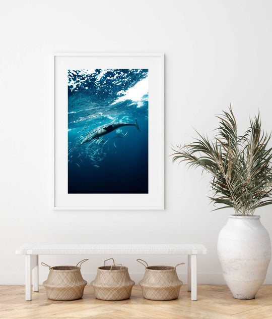 Framed Artwork with a white frame in an office space