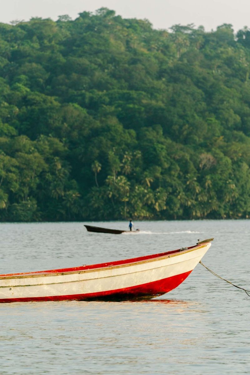 Anchored boat and a moving boat along tropical shoreline