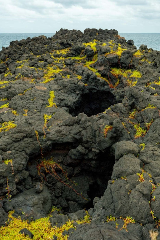 Volcanic Moss (1 of 10)
