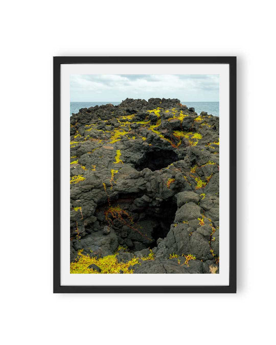 Volcanic Moss (1 of 10)