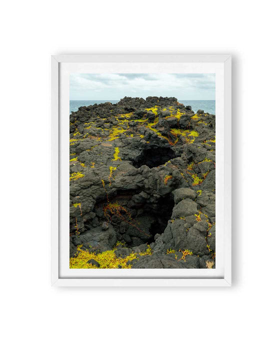 Volcanic Moss (1 of 10)