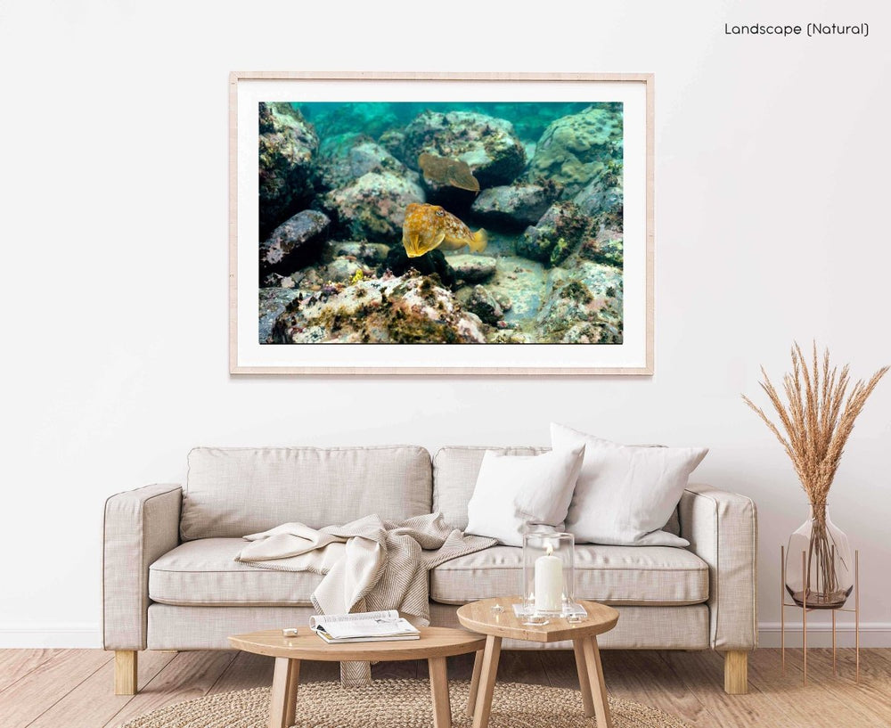 Framed Artwork with a natural frame in a living room